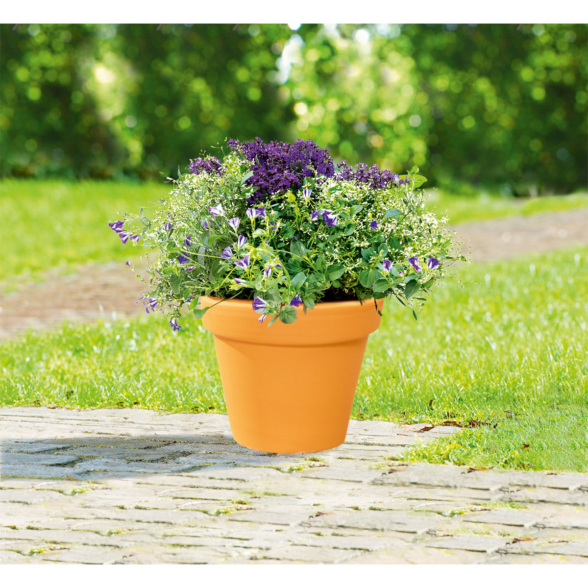 Pflanztopf Vaso Standard 15 cm Bild 2