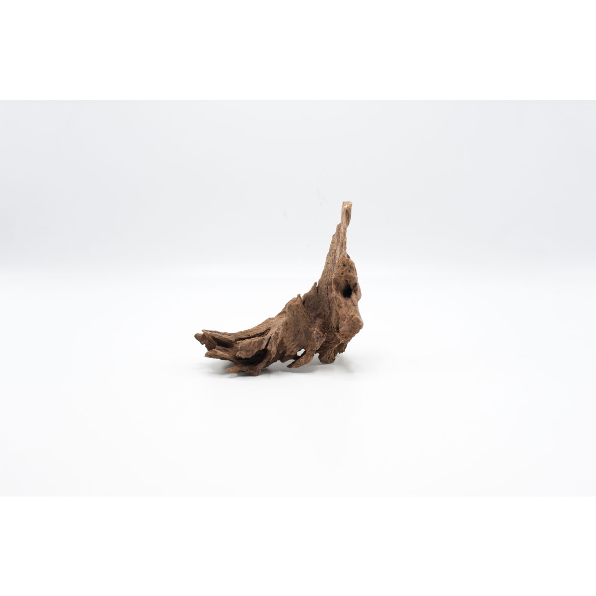 Driftwood Wurzel 10 x 3 cm