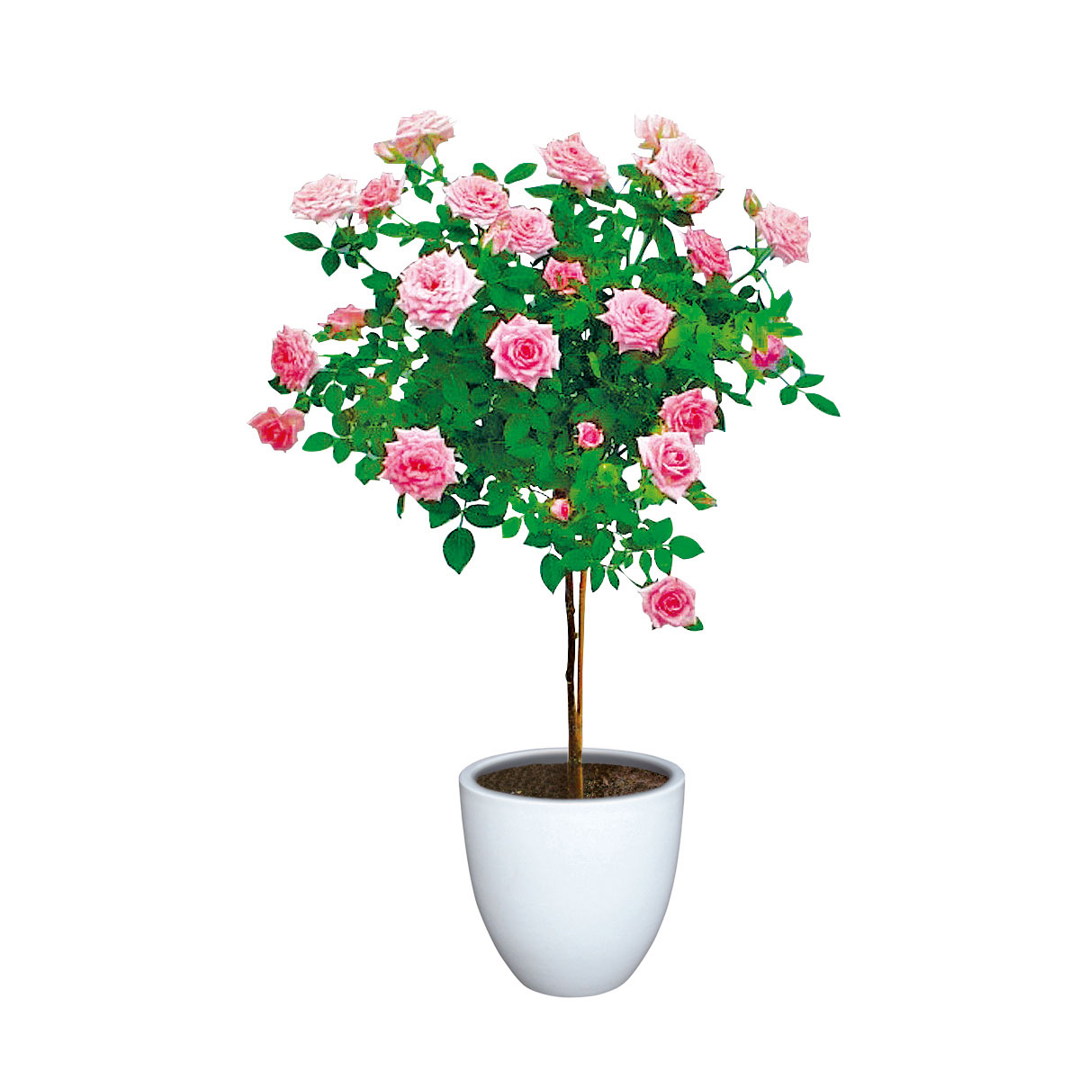 Haveson Pflanztopf Bern II Durchmesser 21 x 20 cm weiß Bild 3