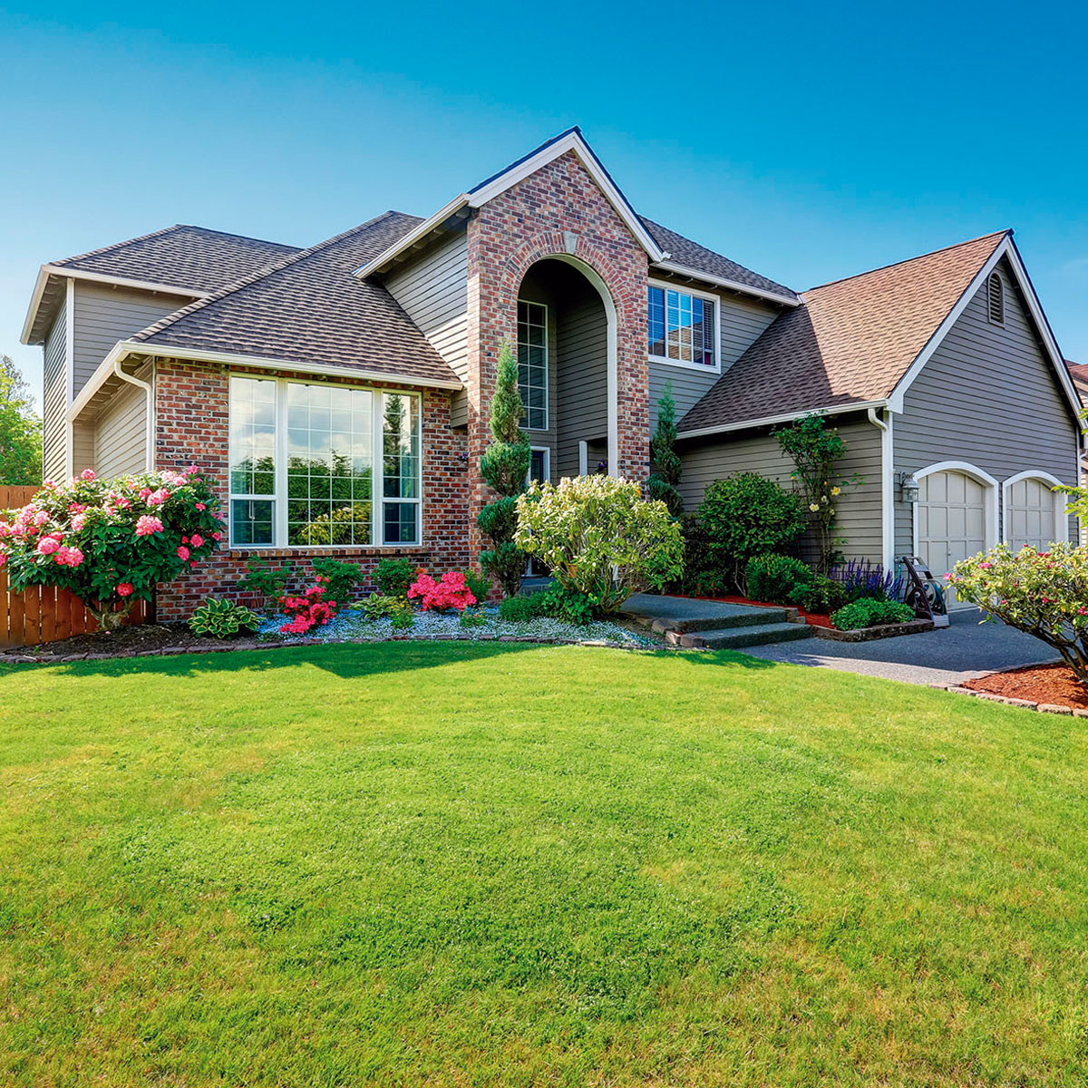 Starlyf Matte mit Grassamen Grass Seed Mat 10m x 0,45m Bild 5