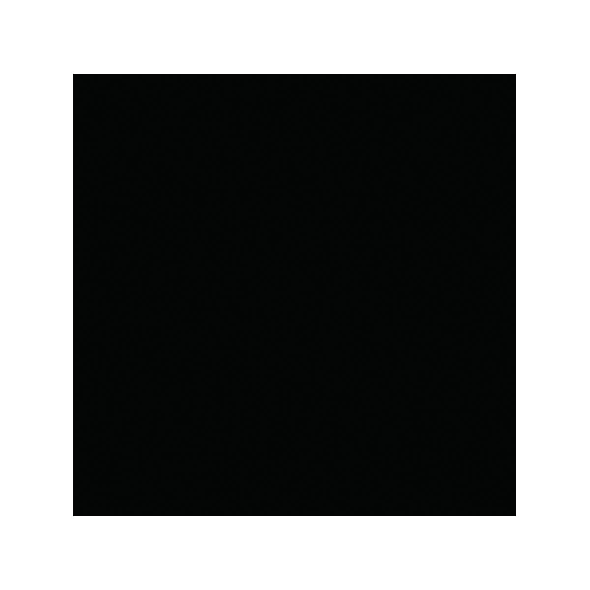 Vincent 2in1 Buntlack Tiefschwarz glänzend 375 ml Bild 2