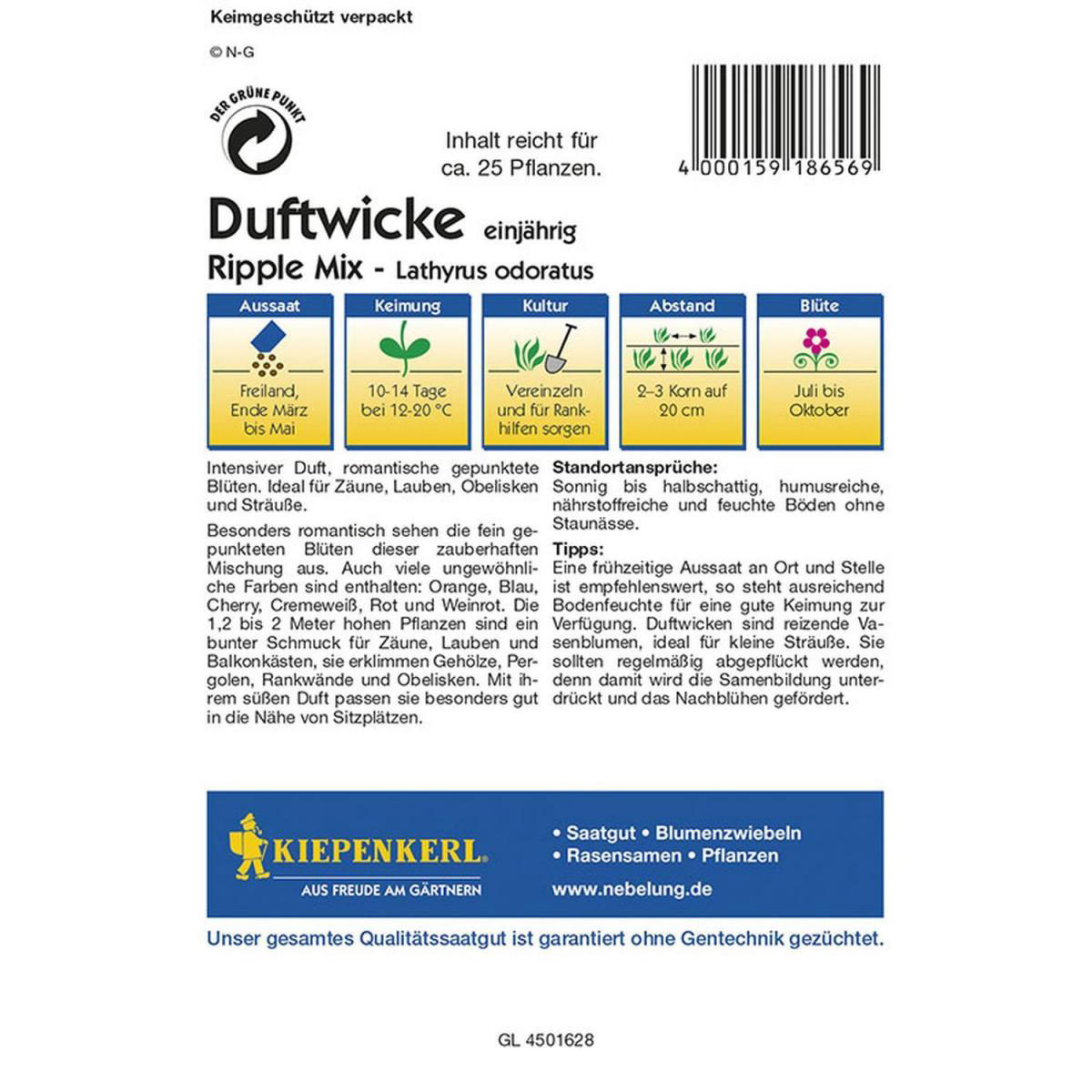 Kiepenkerl Edel-Wicken Ripple Mix Bild 2