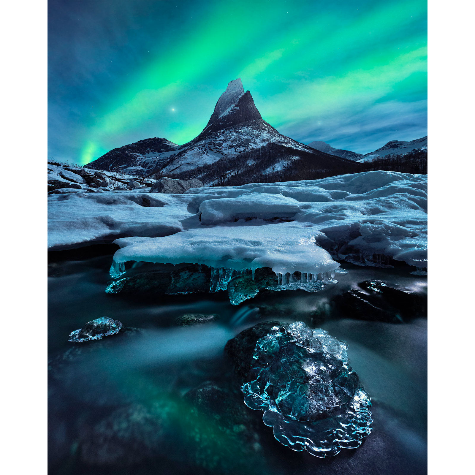 Komar  Vlies Fototapete The Coronation 200x250 cm Bild 2