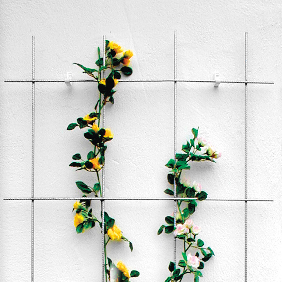 Spalier 4-strebig Bild 4