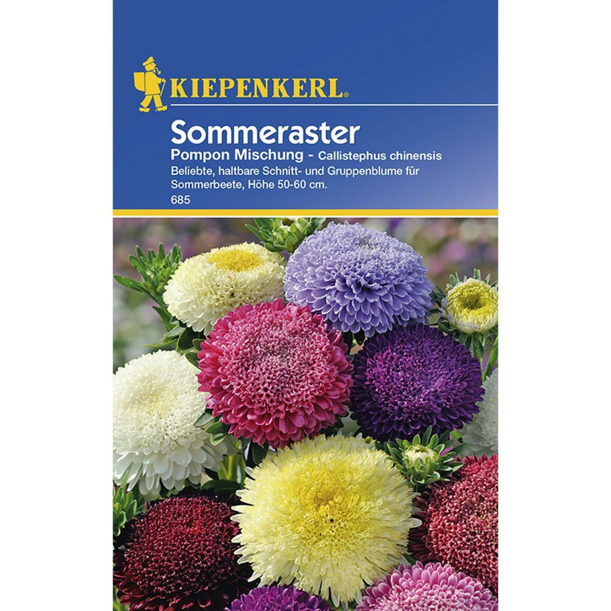 Kiepenkerl Sommeraster Pompon Mischung