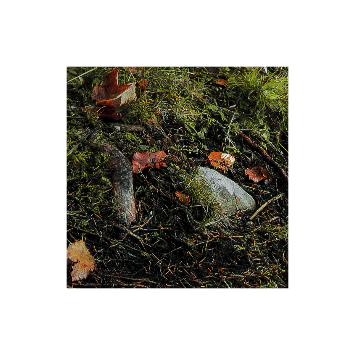 Komar  Vlies Fototapete Feuerzungen 450x280 cm Bild 7