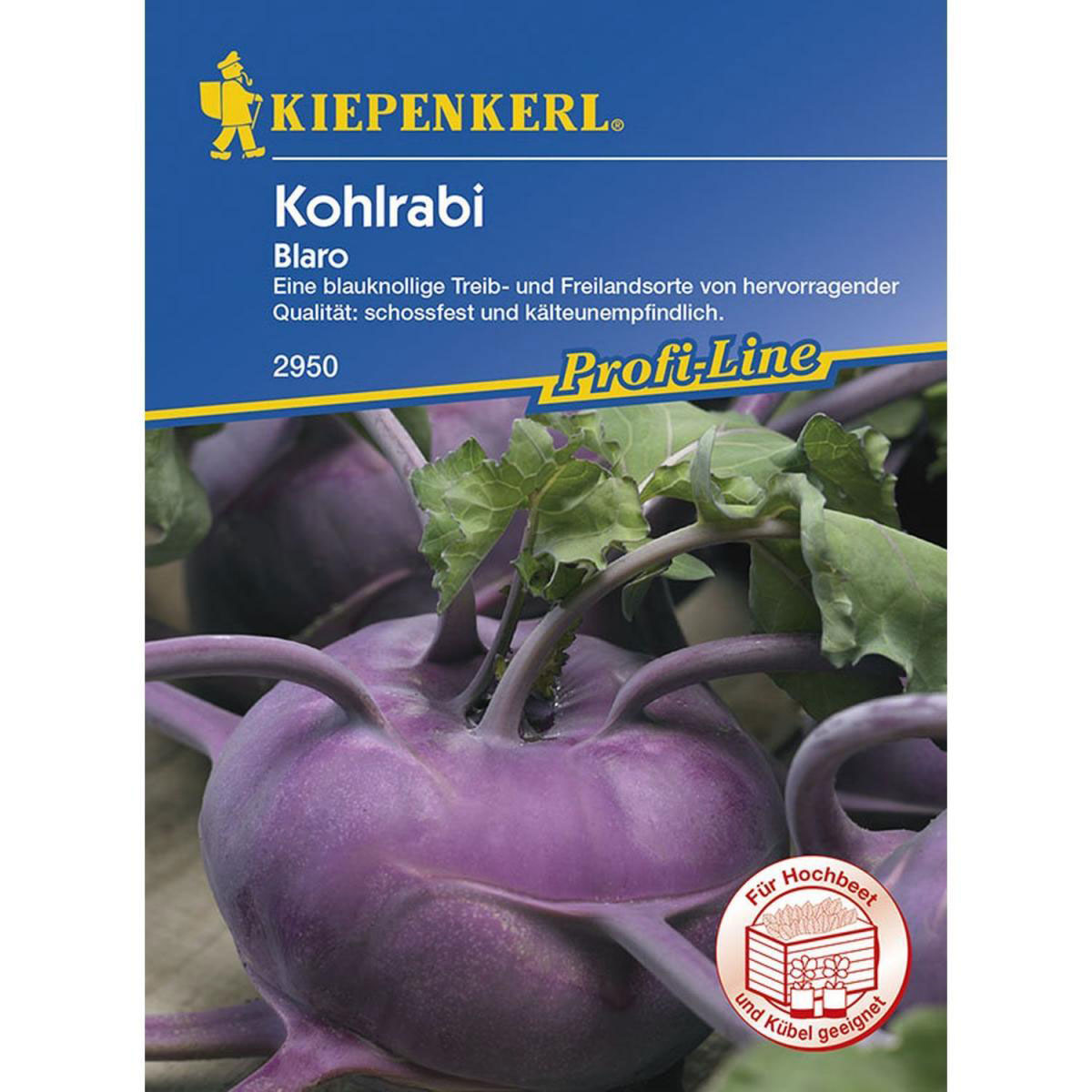 Kiepenkerl Kohlrabi Blaro blau Profi-Line Bild 1
