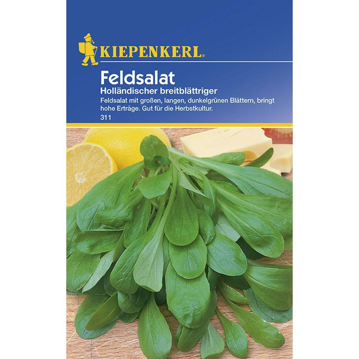 Kiepenkerl Feldsalat Holl breitblättriger