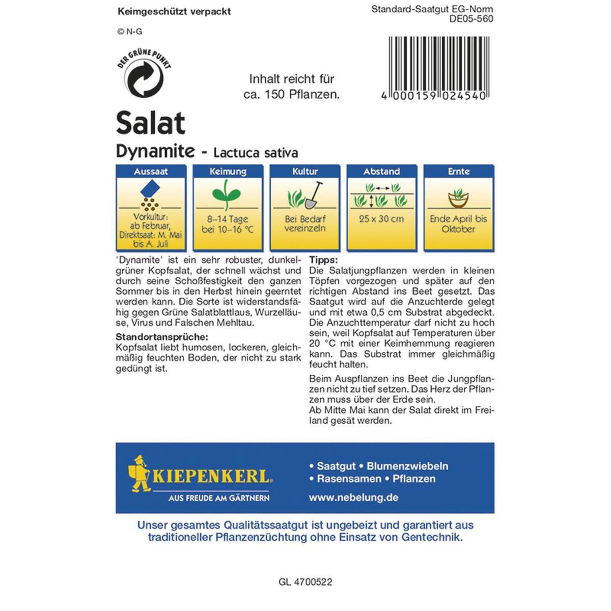 Kiepenkerl Kopfsalat Dynamite Profi-Line Bild 2