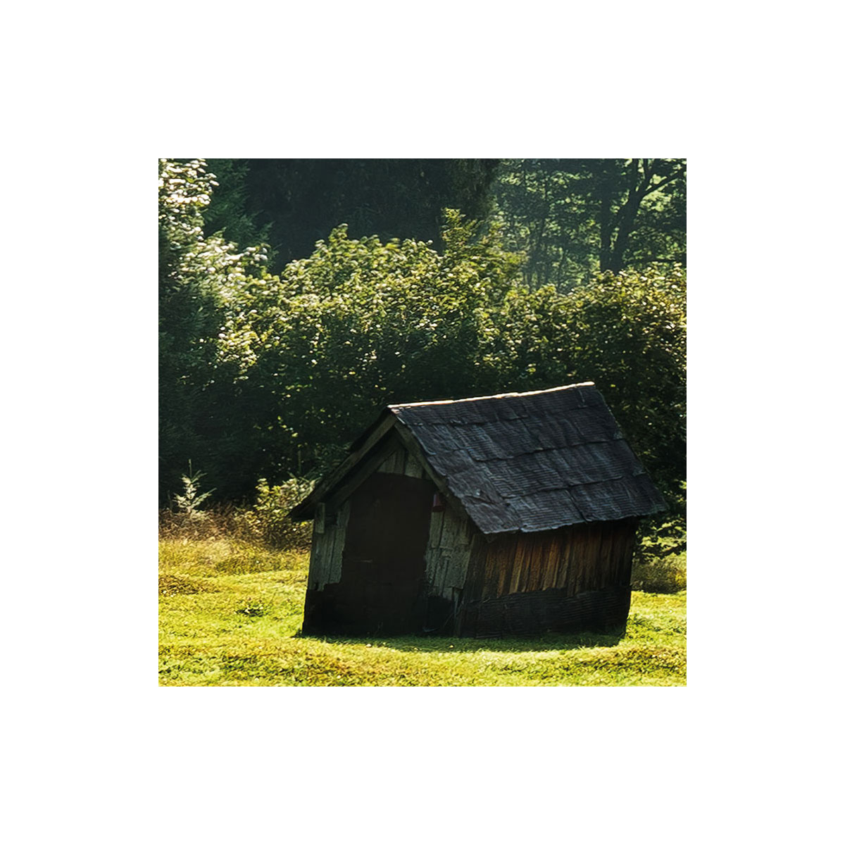 Komar  Vlies Fototapete Bergwiese vor Karwendel 450x280 cm Bild 7