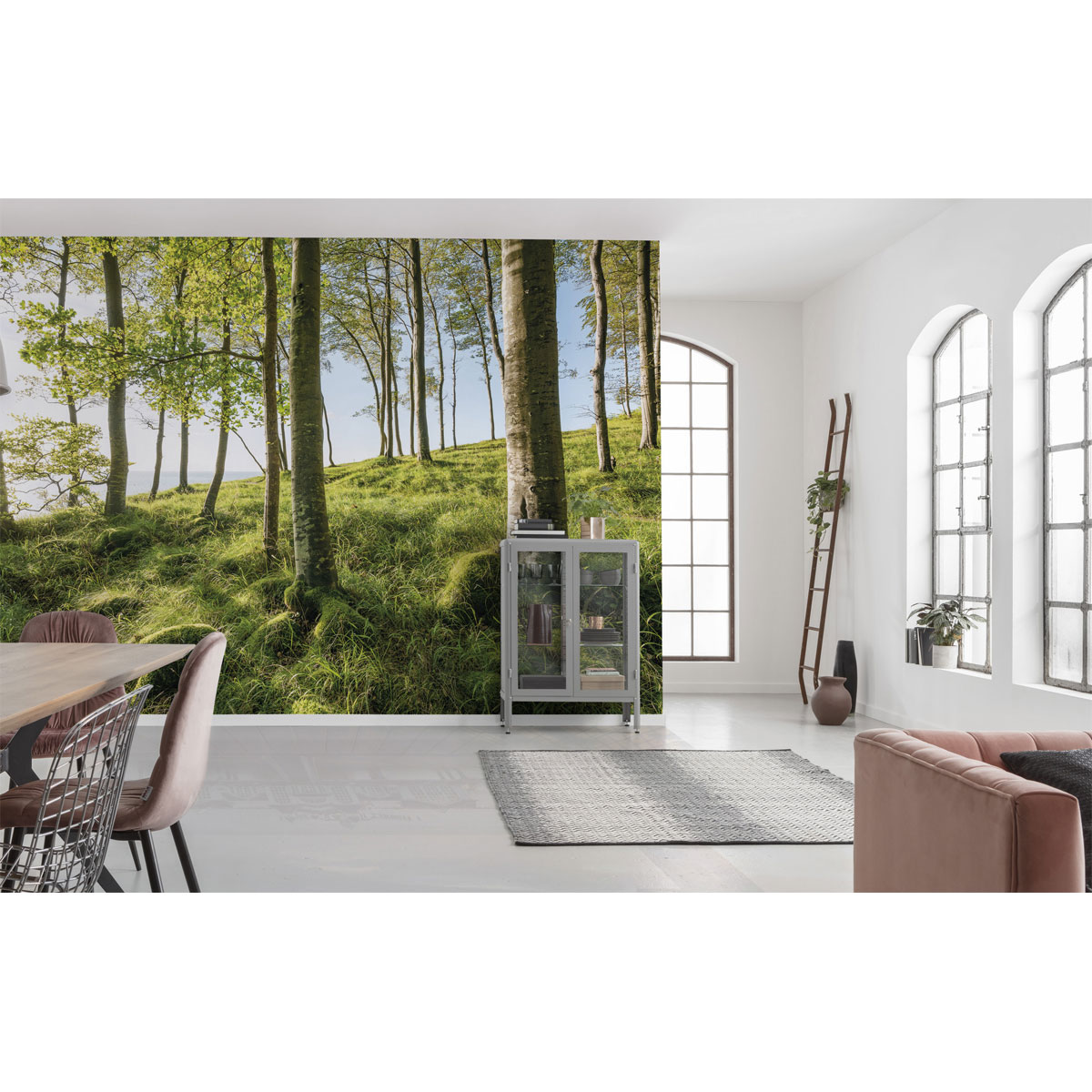 Komar  Vlies Fototapete Zauberhaftes Buchenspektakel 450x280 cm