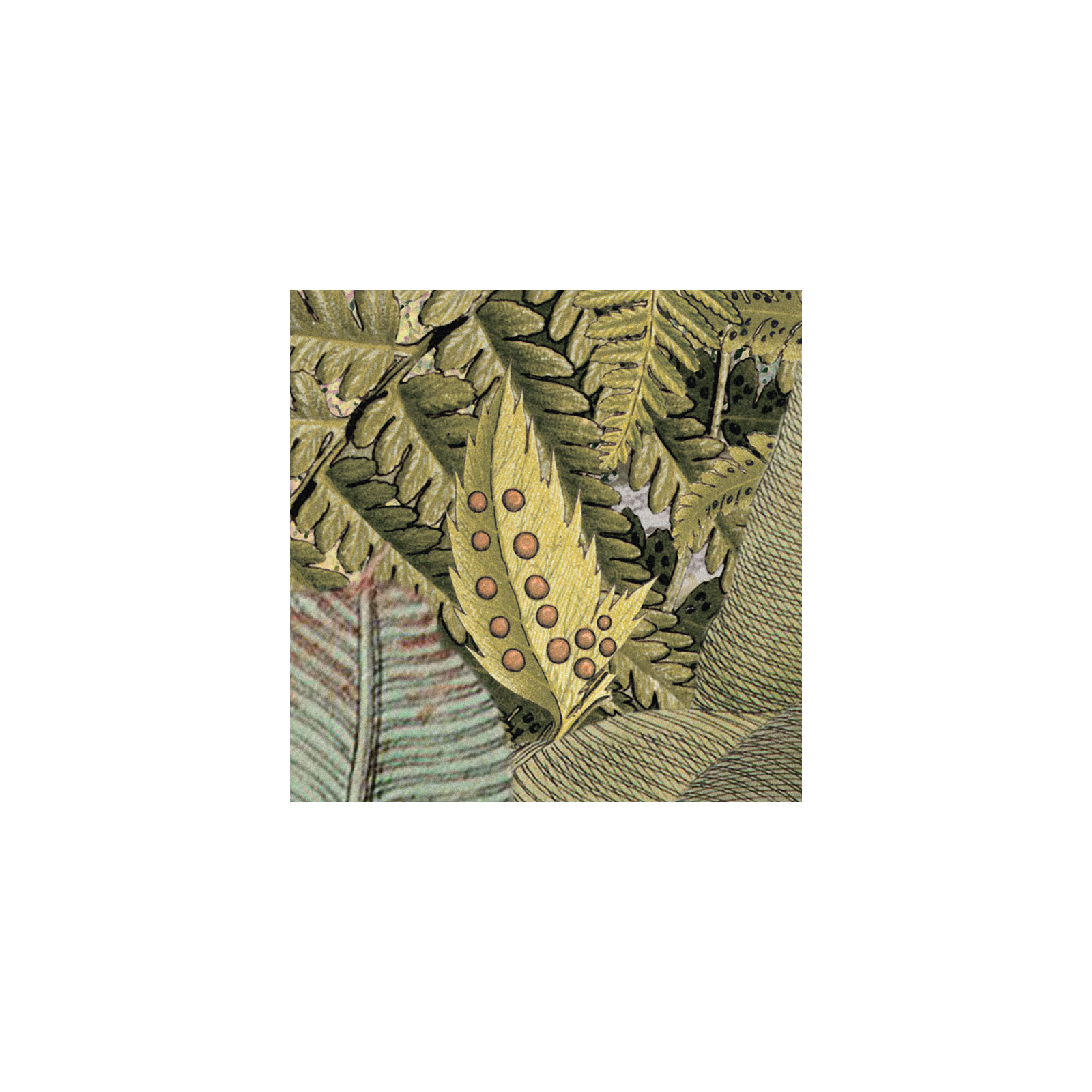 Komar  Vlies Fototapete Amazonia 368x248 cm Bild 6