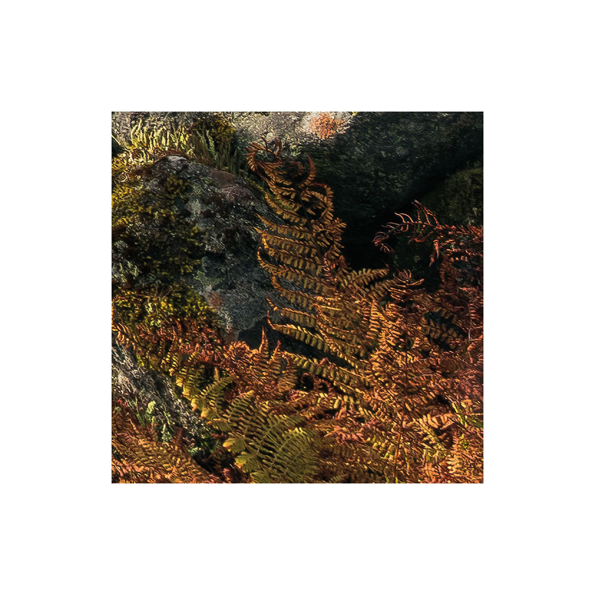 Komar  Vlies Fototapete Pure Norway 450x280 cm Bild 7