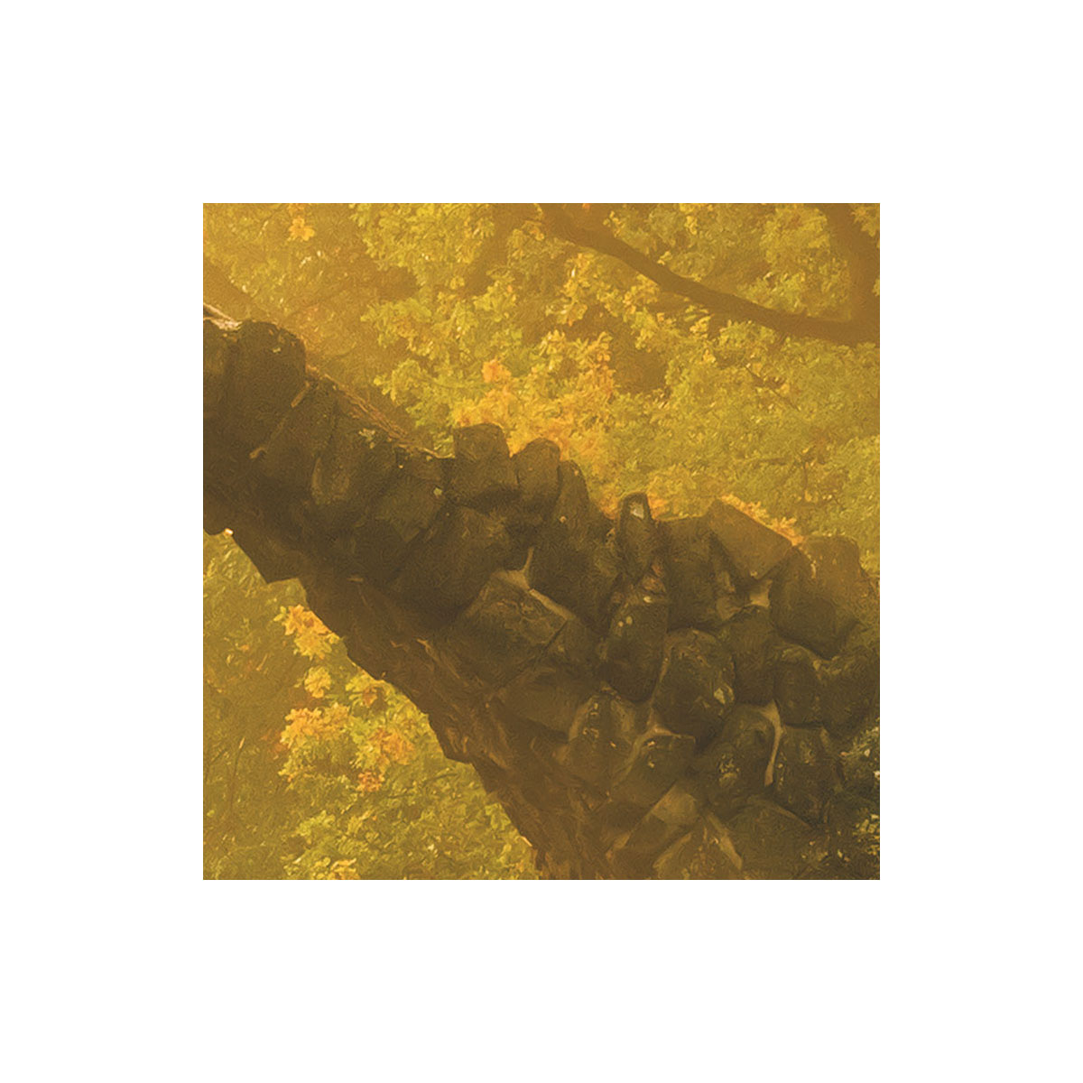 Komar  Vlies Fototapete Devil's Bridge 400x250 cm Bild 4