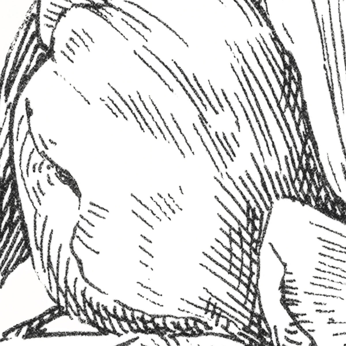 Komar  Vlies Fototapete Flowerbed 300x250 cm Bild 5