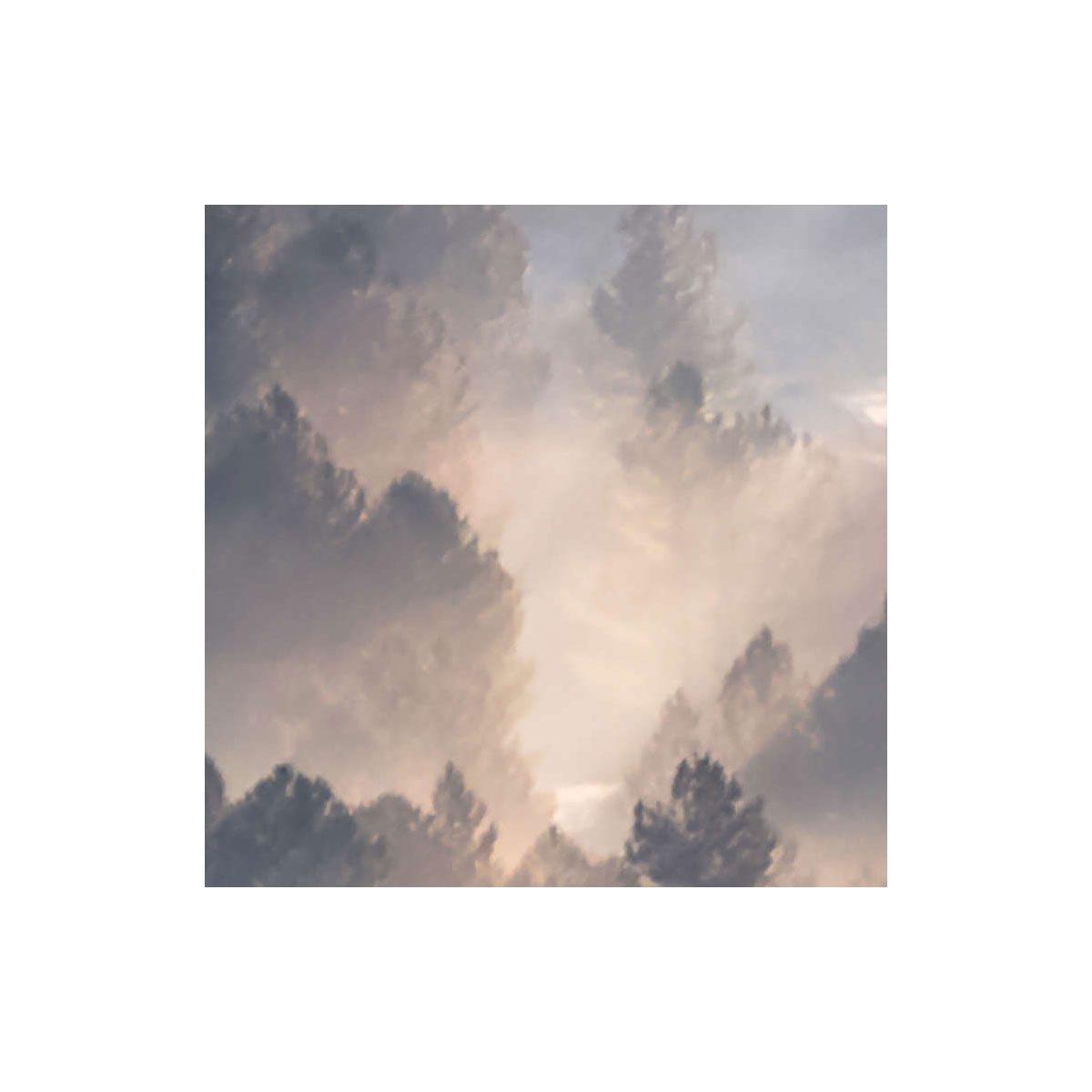 Komar  Vlies Fototapete Rays 300x250 cm Bild 9