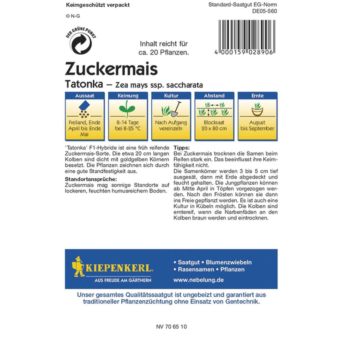 Kiepenkerl Zuckermais Tatonka Bild 2