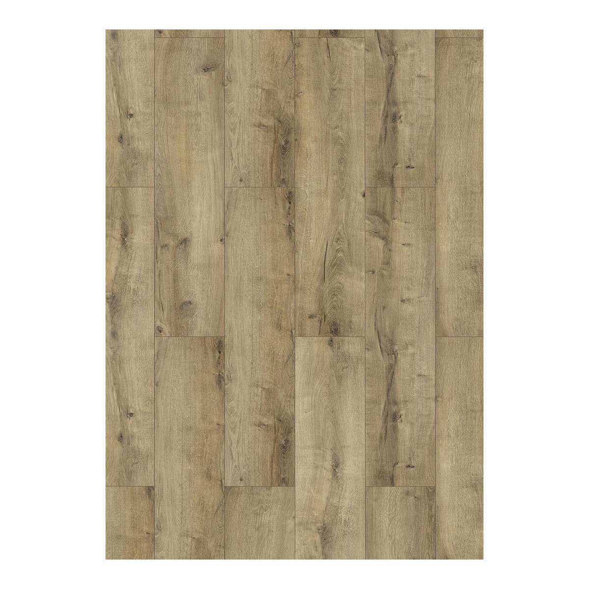 Laminat Classen WR 4V Oak natural grey 1285 x 192 x 8 mm NK 32 Bild 1