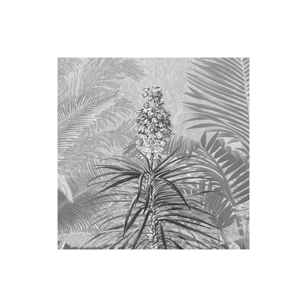 Komar  Vlies Fototapete Amazonia Black & White 400x250 cm Bild 6