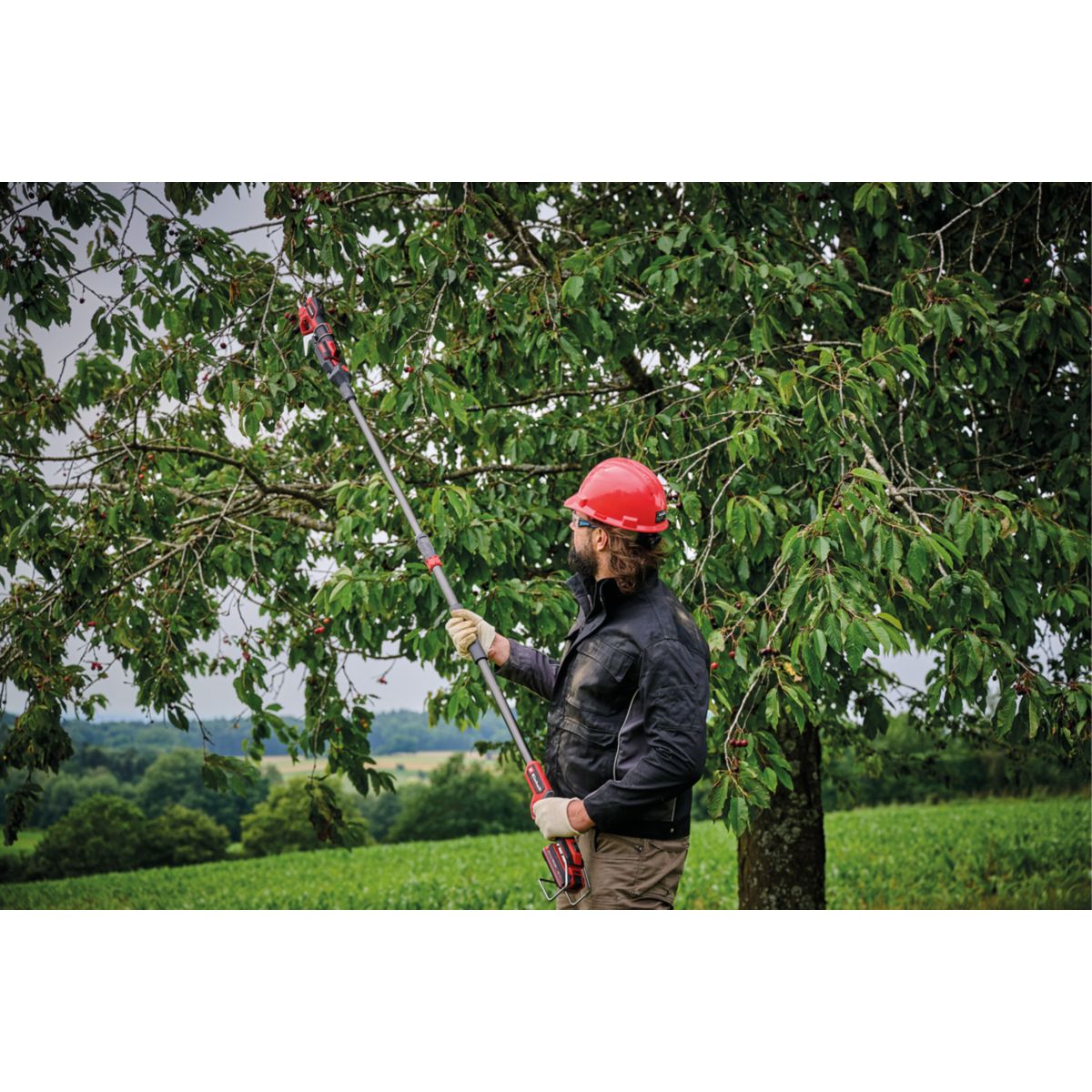 Einhell Akku-Astschere GP-LS 18/28 Li T BL-Solo Bild 7