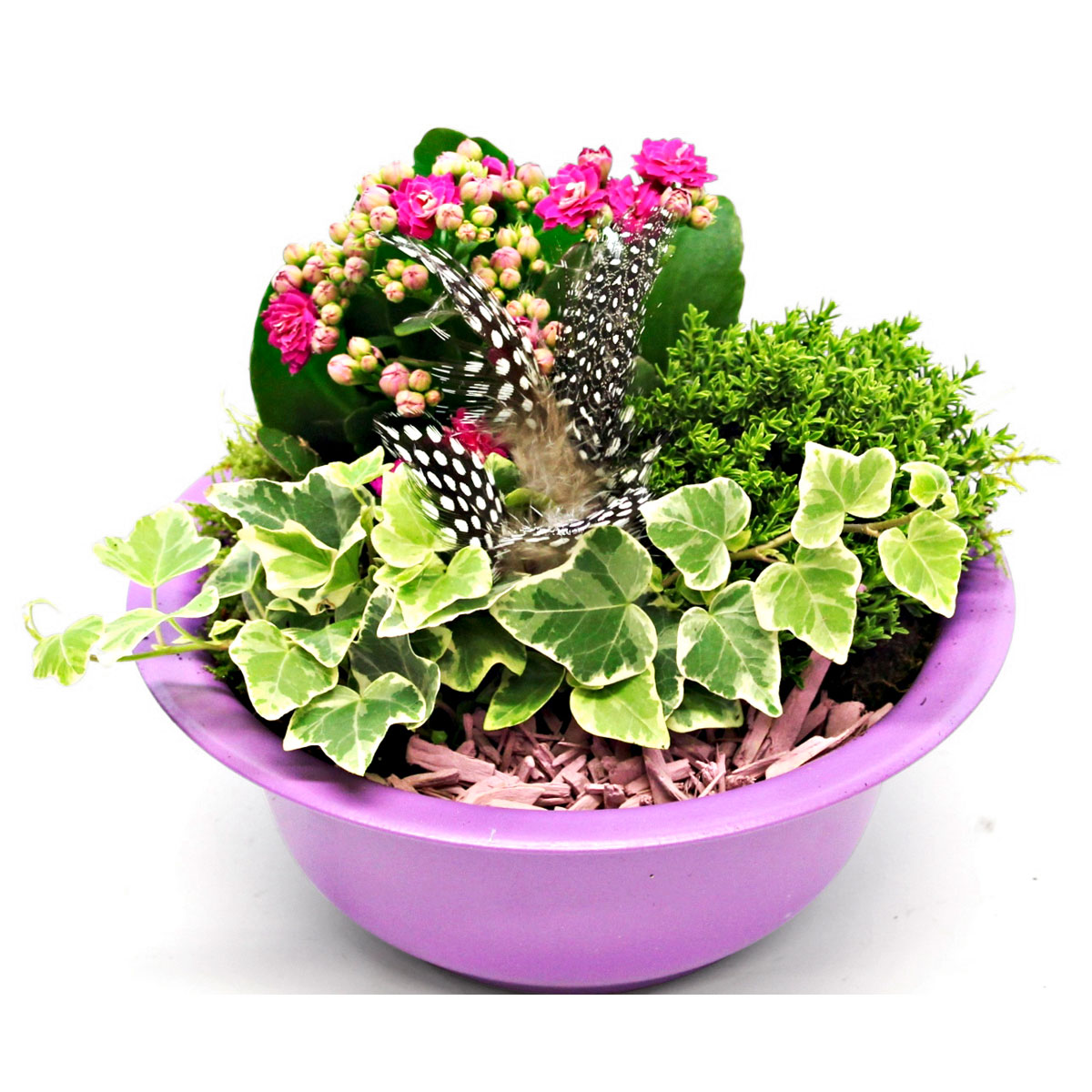 Plantiflor  Bepflanzte Gefäße mit Oster-Deko Bild 1