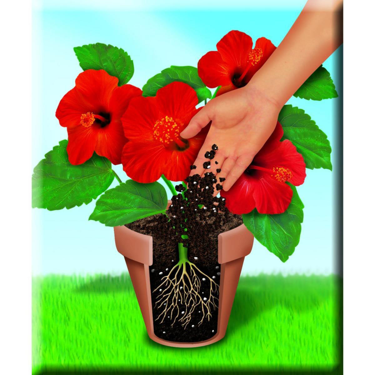 Compo Qualitäts-Blumenerde 50 L Bild 4