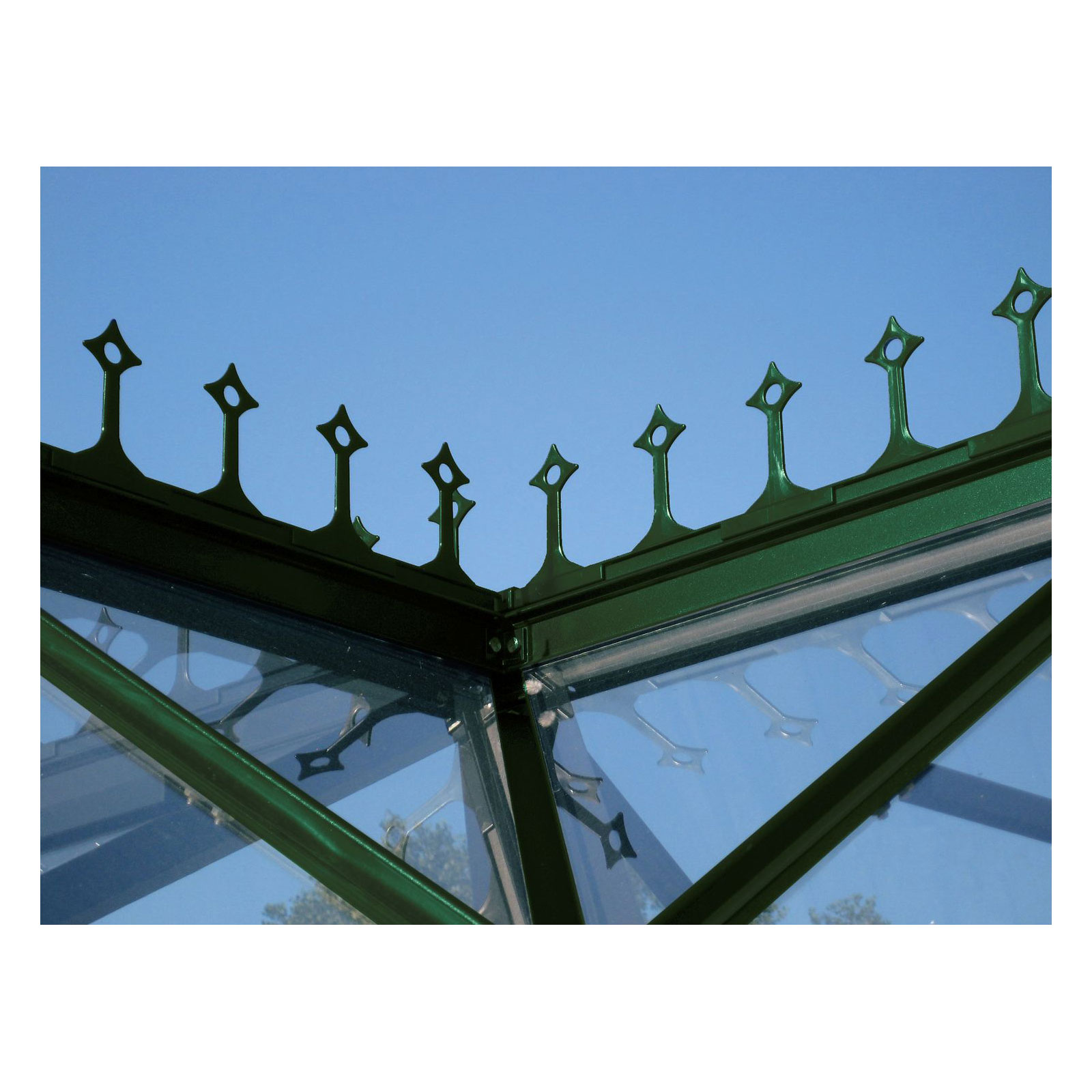 Vitavia Firstkrone grün für Sirius