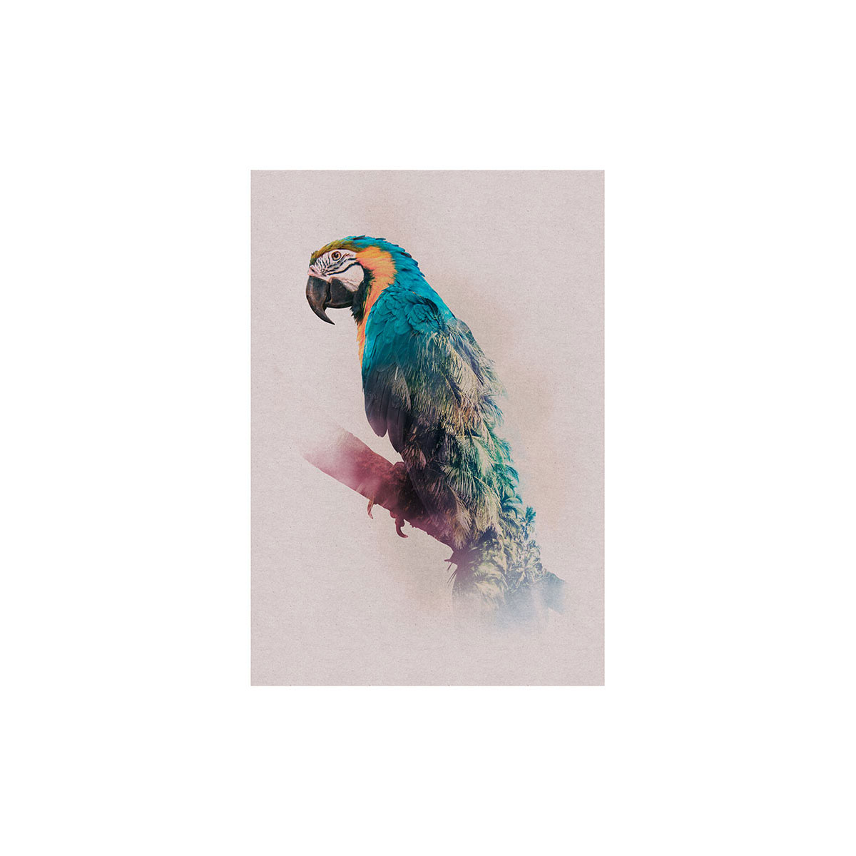 Komar  Wandbild Animals Paradise Parrot 40x50 cm Bild 2