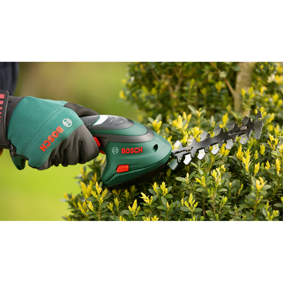 Bosch  Gras-und Strauchschere Isio Bild 7