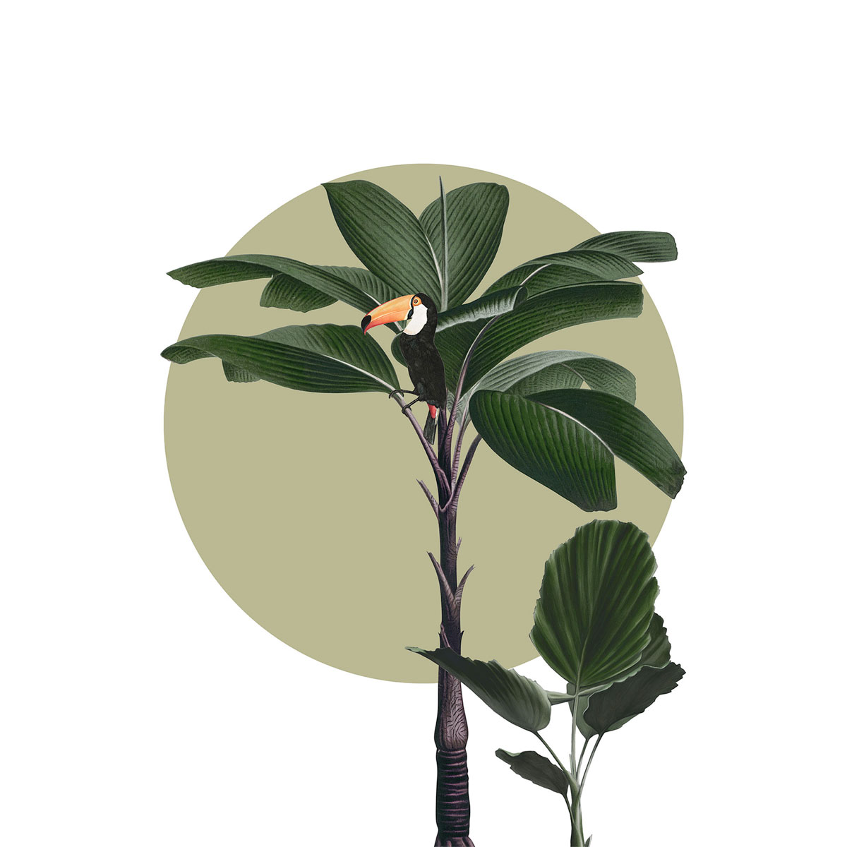 Komar  Wandbild Botanical Garden Palmtree 30x40 cm Bild 2