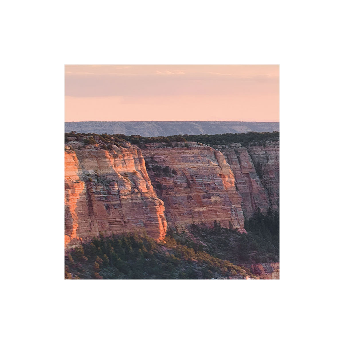 Komar  Vlies Fototapete Imperial View 450x280 cm Bild 5