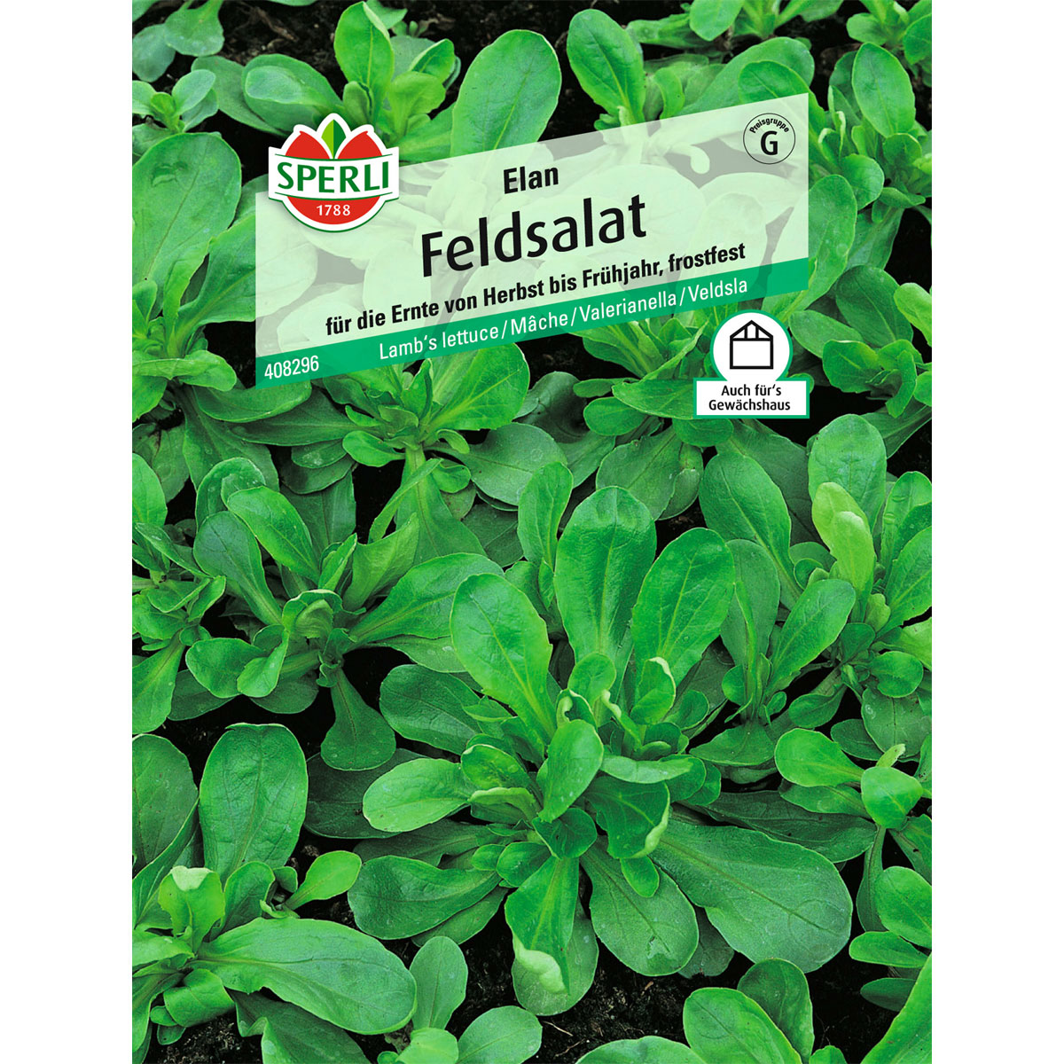 Sperli Feldsalat Elan Variante 2