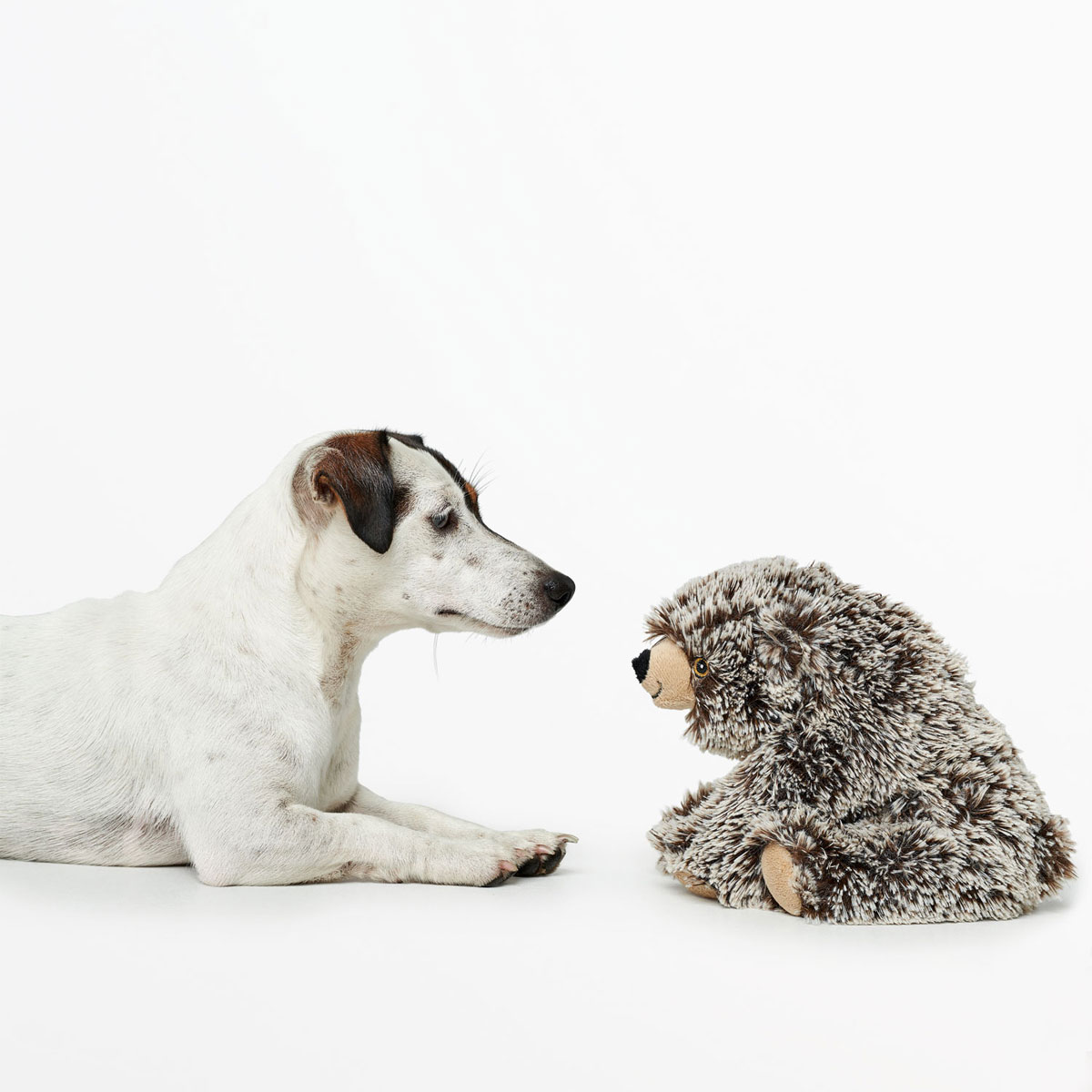 Hunter Hundespielzeug Faro Bär braun 17 cm Bild 2