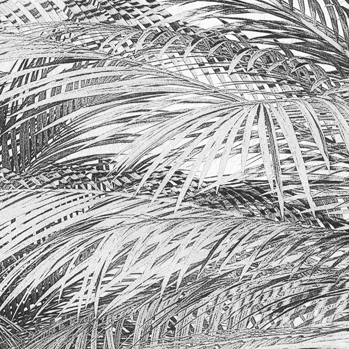 Komar  Vlies Fototapete Cocco 200x250 cm Bild 5