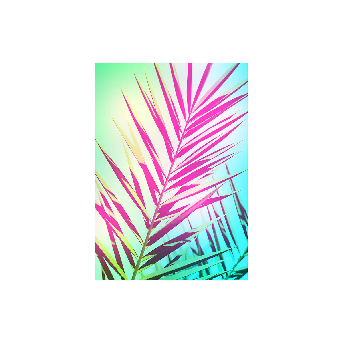 Komar  Wandbild Shine 40x50 cm Bild 2