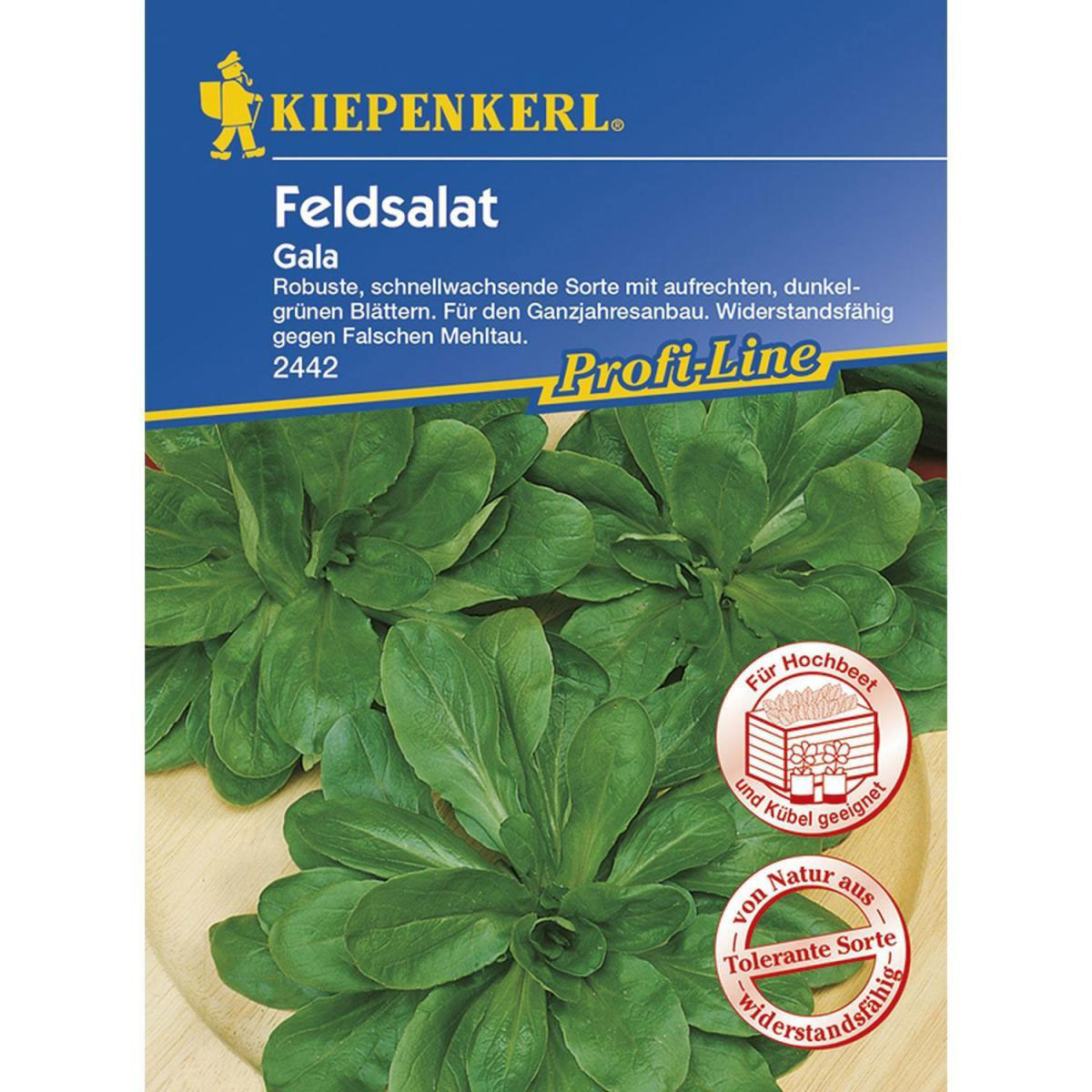 Kiepenkerl Feldsalat Gala Profi-Line Bild 1