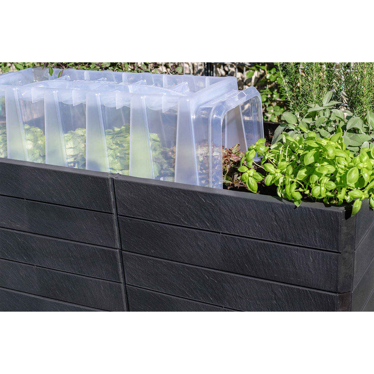 Garantia  Hochbeet Ergo Quadro U L 75 Stone, inkl. FLORA Wassersparsystem Bild 7