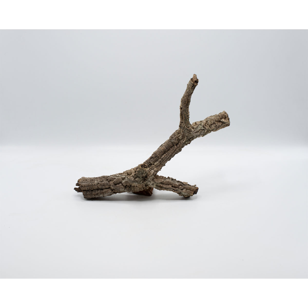 Tronchos/Korkäste 80-100 cm