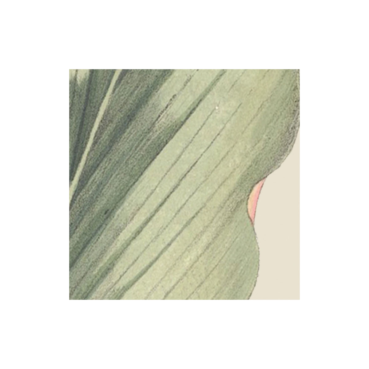 Komar  Vlies Fototapete Naïve 300x250 cm Bild 7