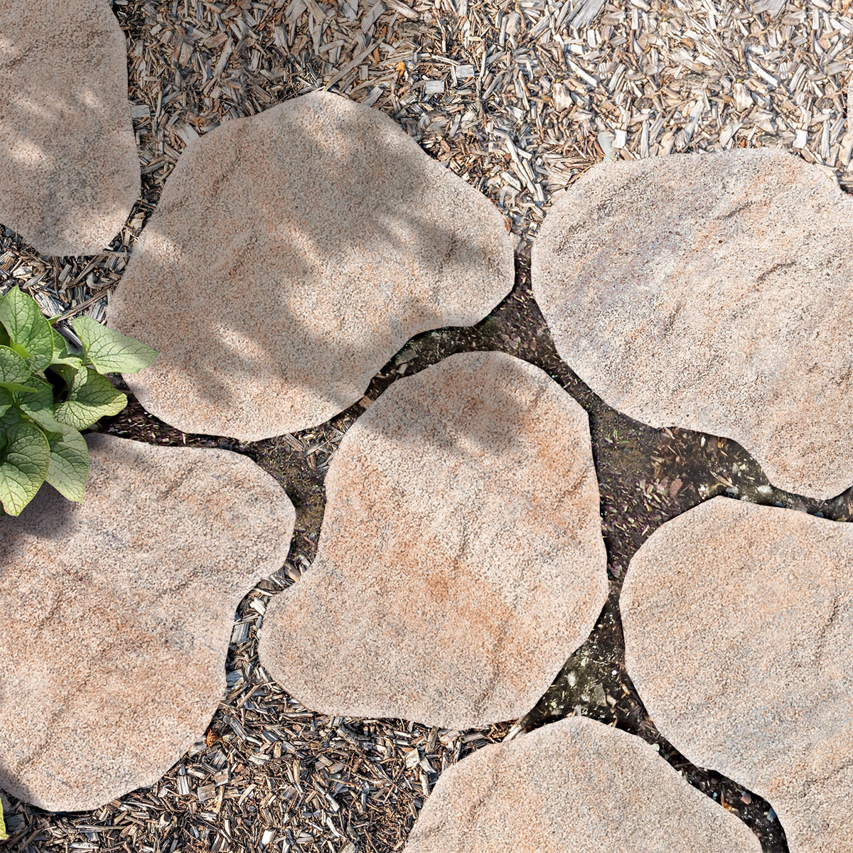 Diephaus  Trittstein No. 1 Step muschelkalk ca. 48 x 36 x 3 cm Bild 2