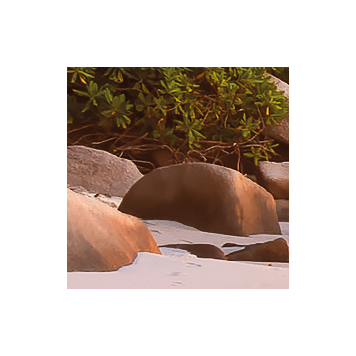 Komar  Vlies Fototapete Nature 368x248 cm Bild 7