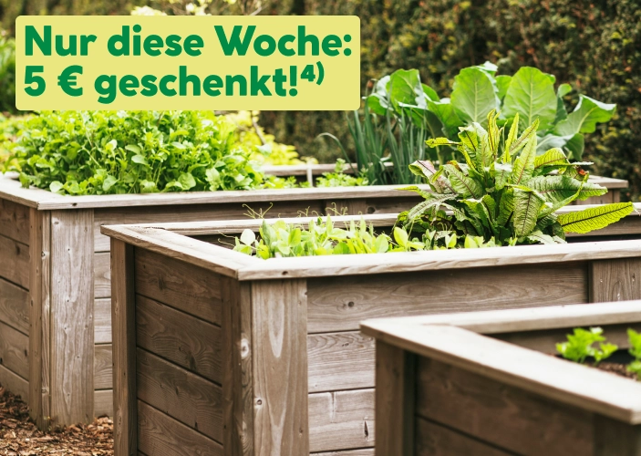 Hochbeet-Gutschein Aktion