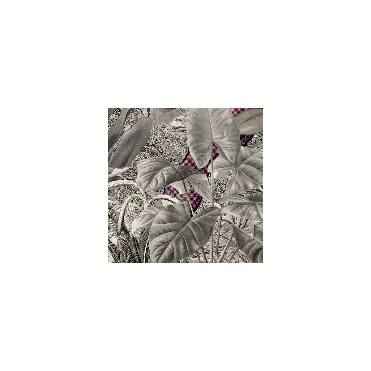 Komar  Vlies Fototapete Pinky 350x280 cm Bild 7