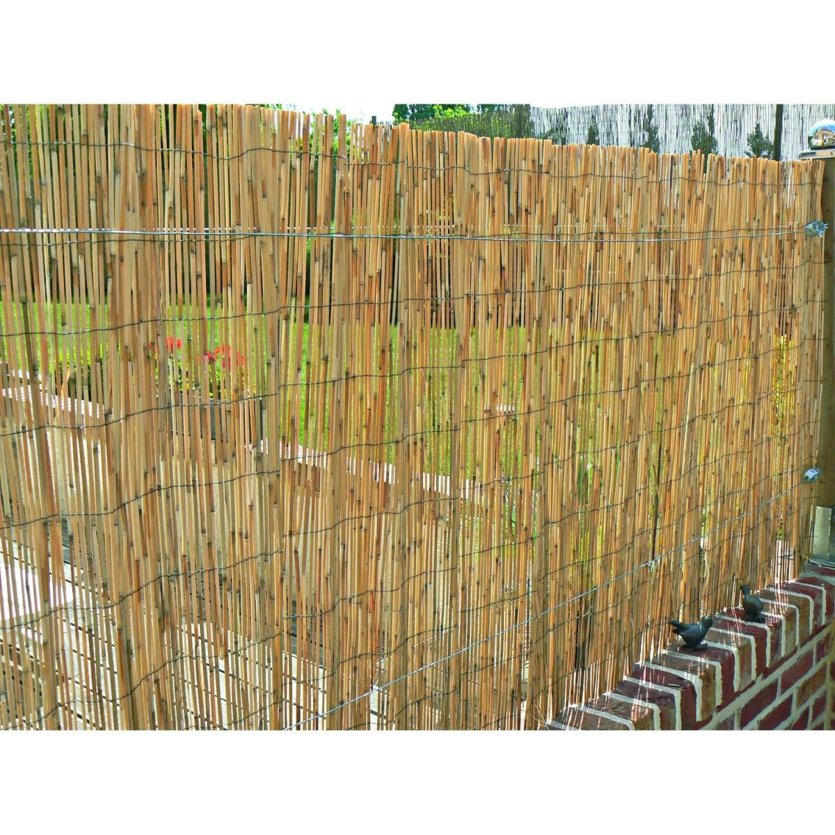 Schilfrohrmatte Malaga 120 x 600 cm