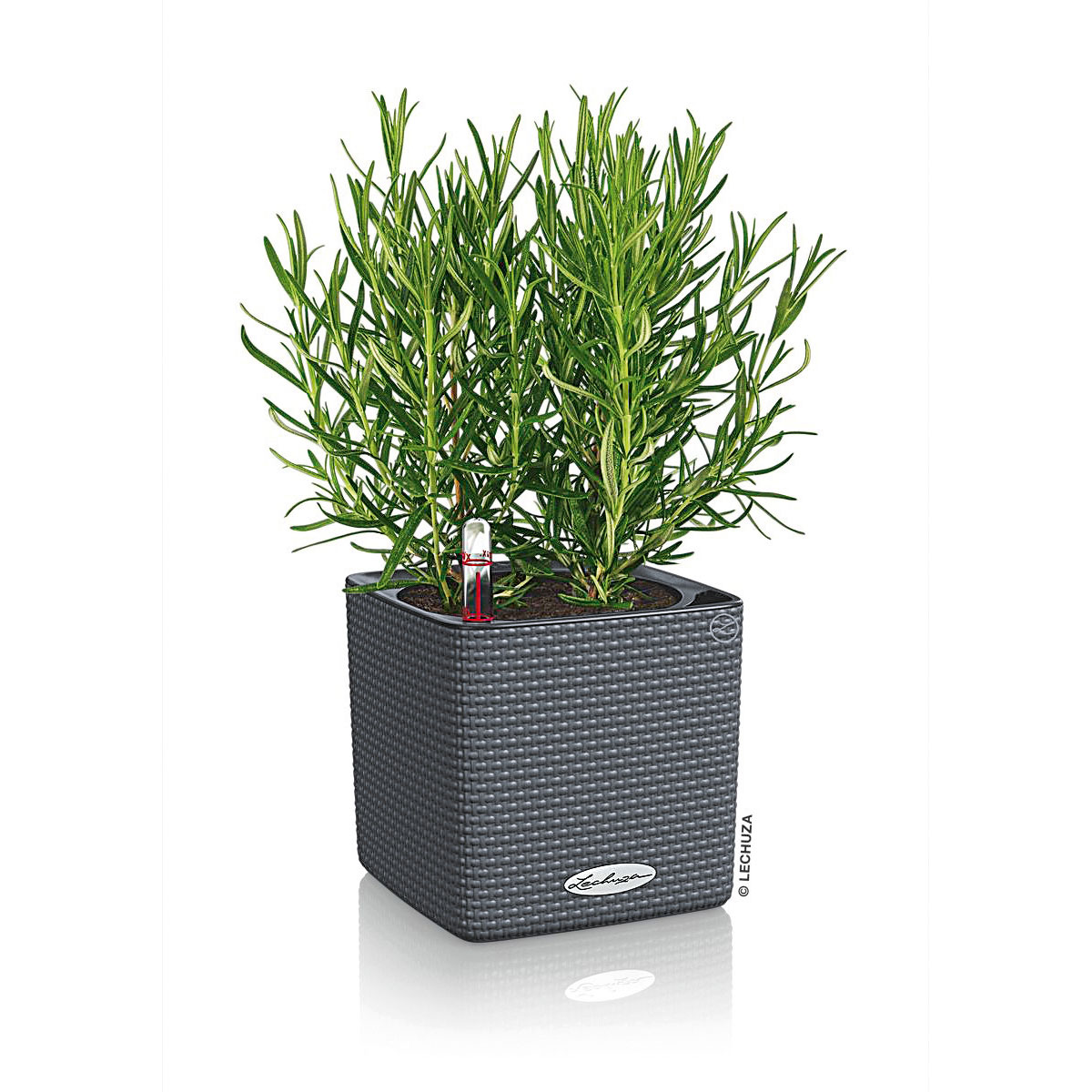 Pflanzkübel Cube Color Komplettset 14 cm schiefergrau Bild 2