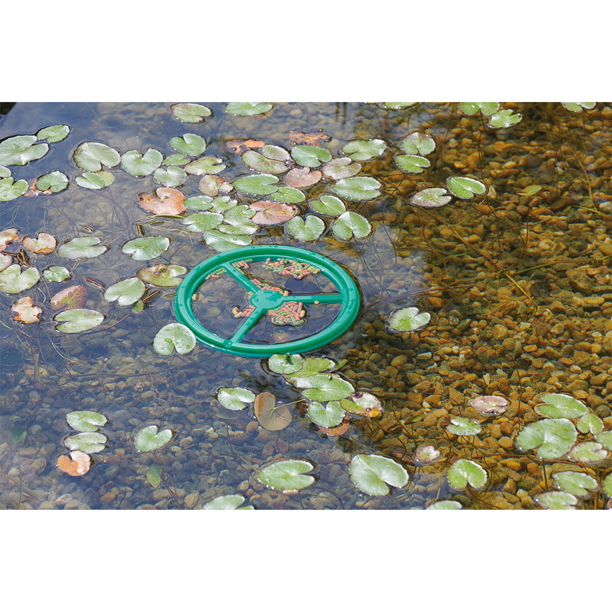 Oase Pontec Fütterungsring PondoFeed Ring Bild 5