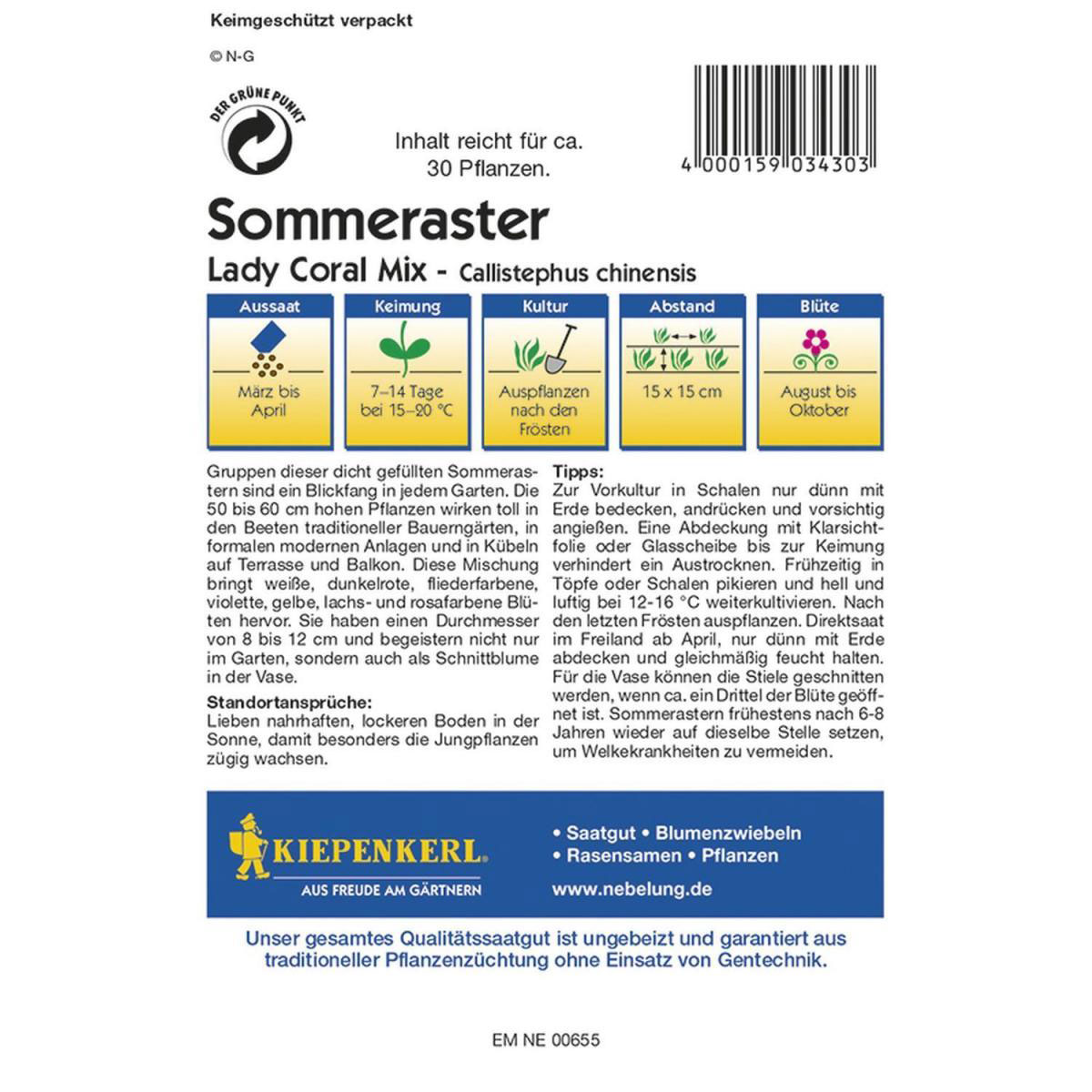 Kiepenkerl Sommeraster Lady Coral Mix Bild 2