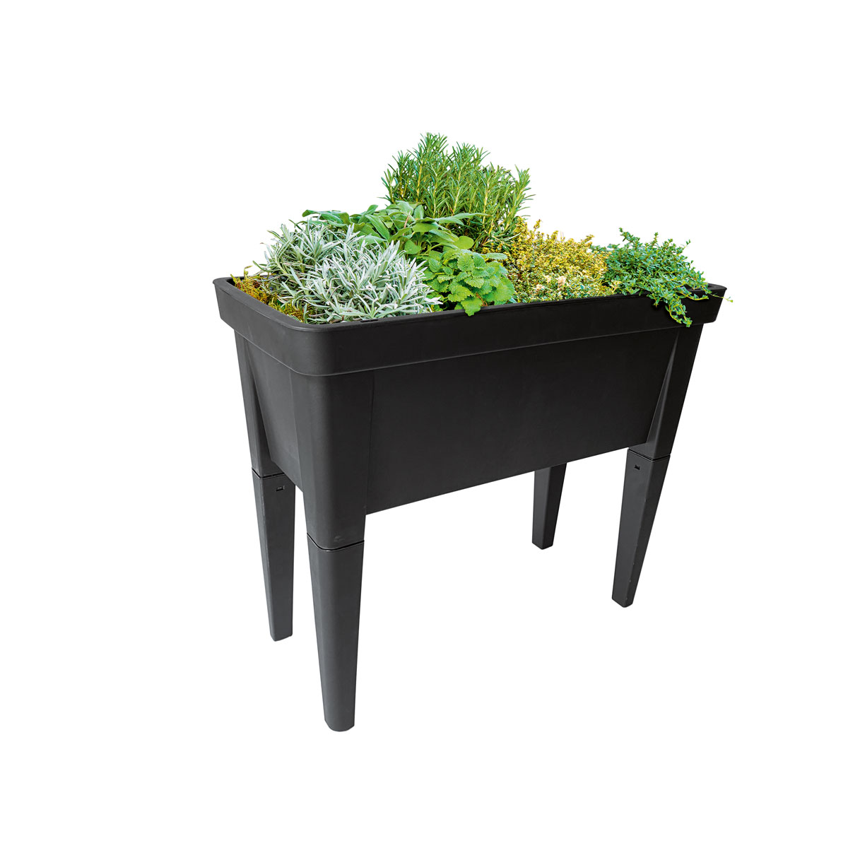 Wingart Hochbeet Kräuterpott schwarz Bild 2