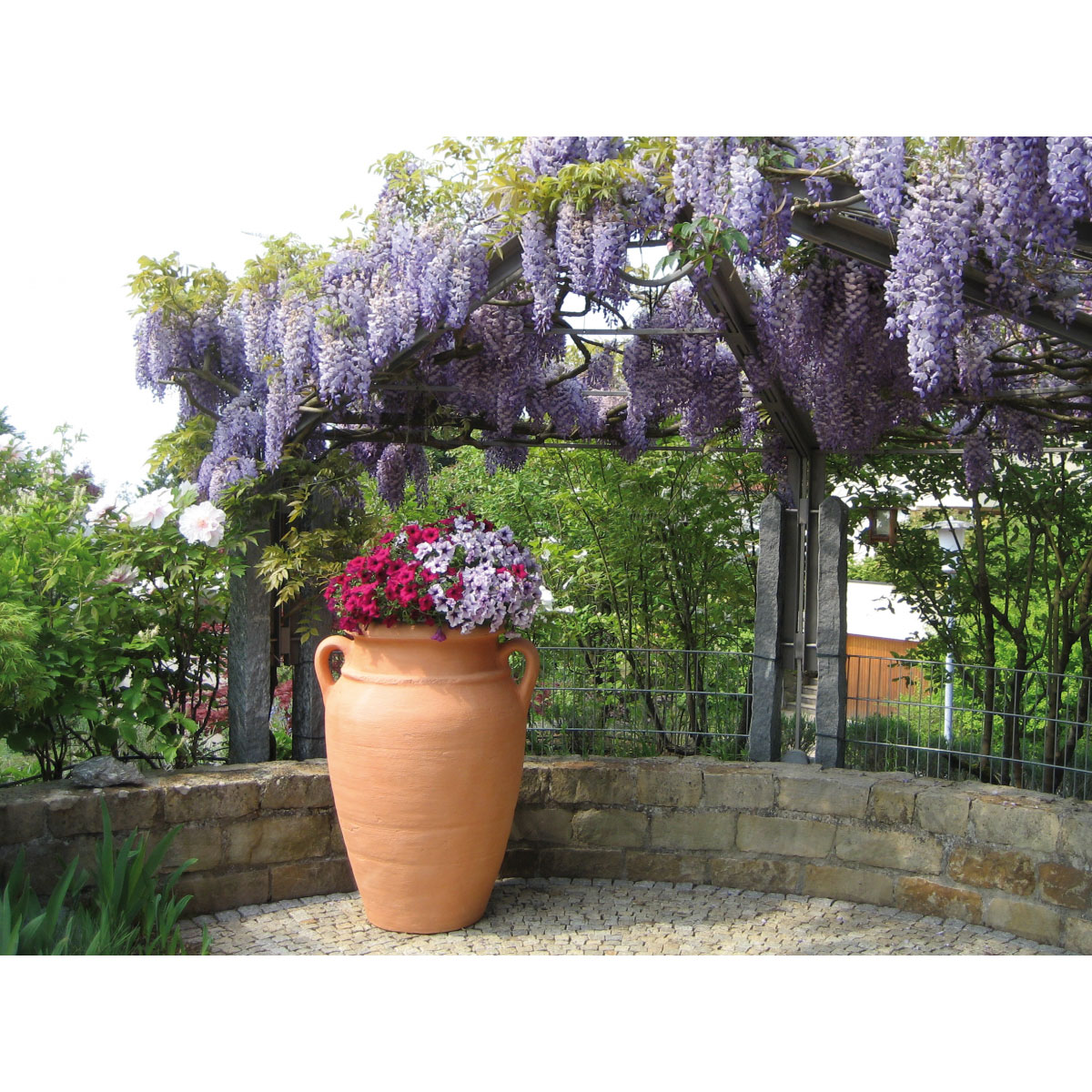 Garantia Pflanz-Amphore Antik Terracotta Bild 2