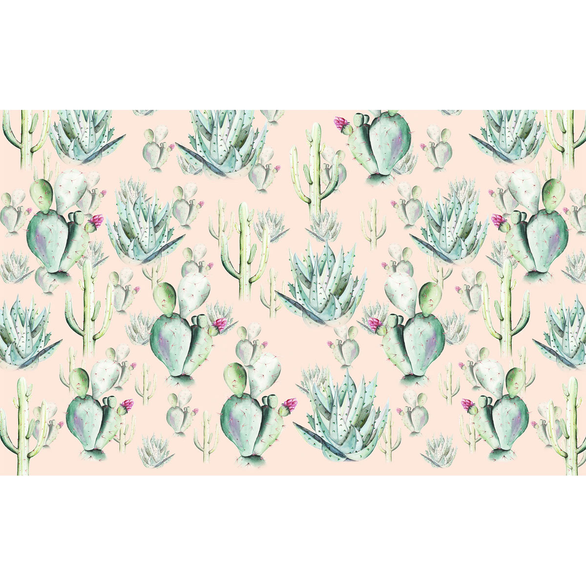 Komar  Vlies Fototapete Cactus Rose 400x250 cm Bild 2